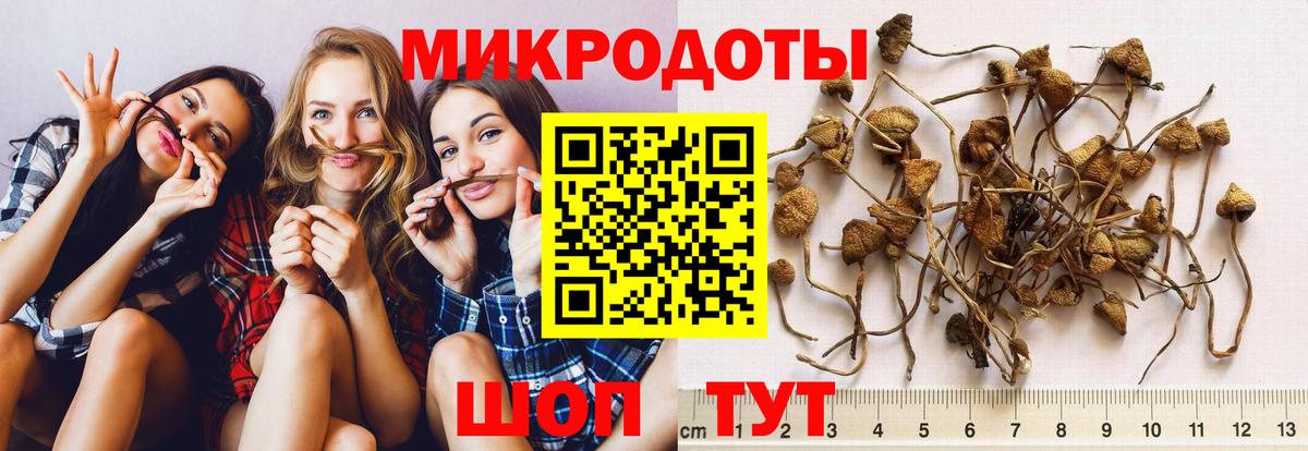 Псилоцибиновые грибы GOLDEN TEACHER Ноябрьск